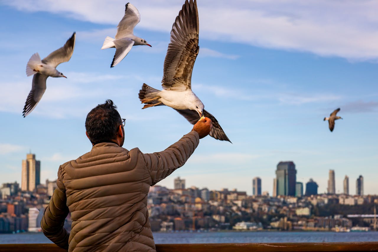 Quiz: Die bevölkerungsreichste Stadt