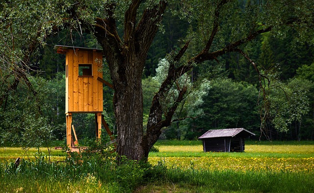 Österreichische Tierwelt und Jagd Quiz